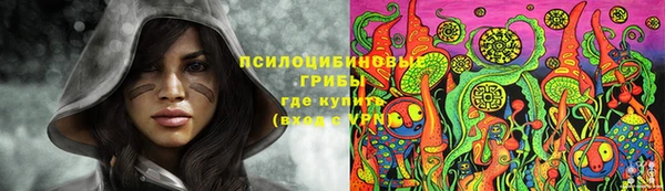 трава Абаза