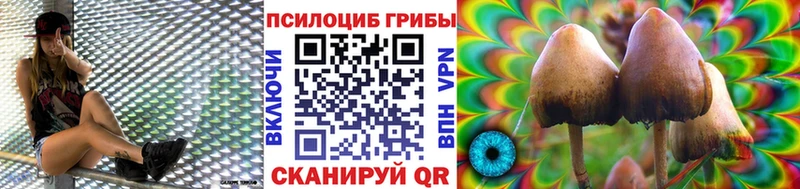Галлюциногенные грибы Psilocybe  Соликамск 
